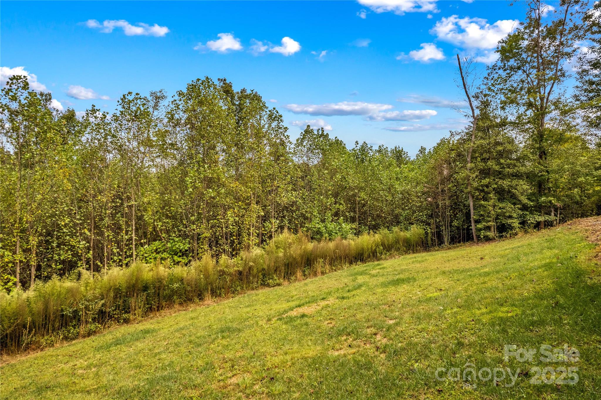 1136 Bauguess Mill Road Traphill, NC 28685 - Photo 28 of 37 a view of an ocean from a yard