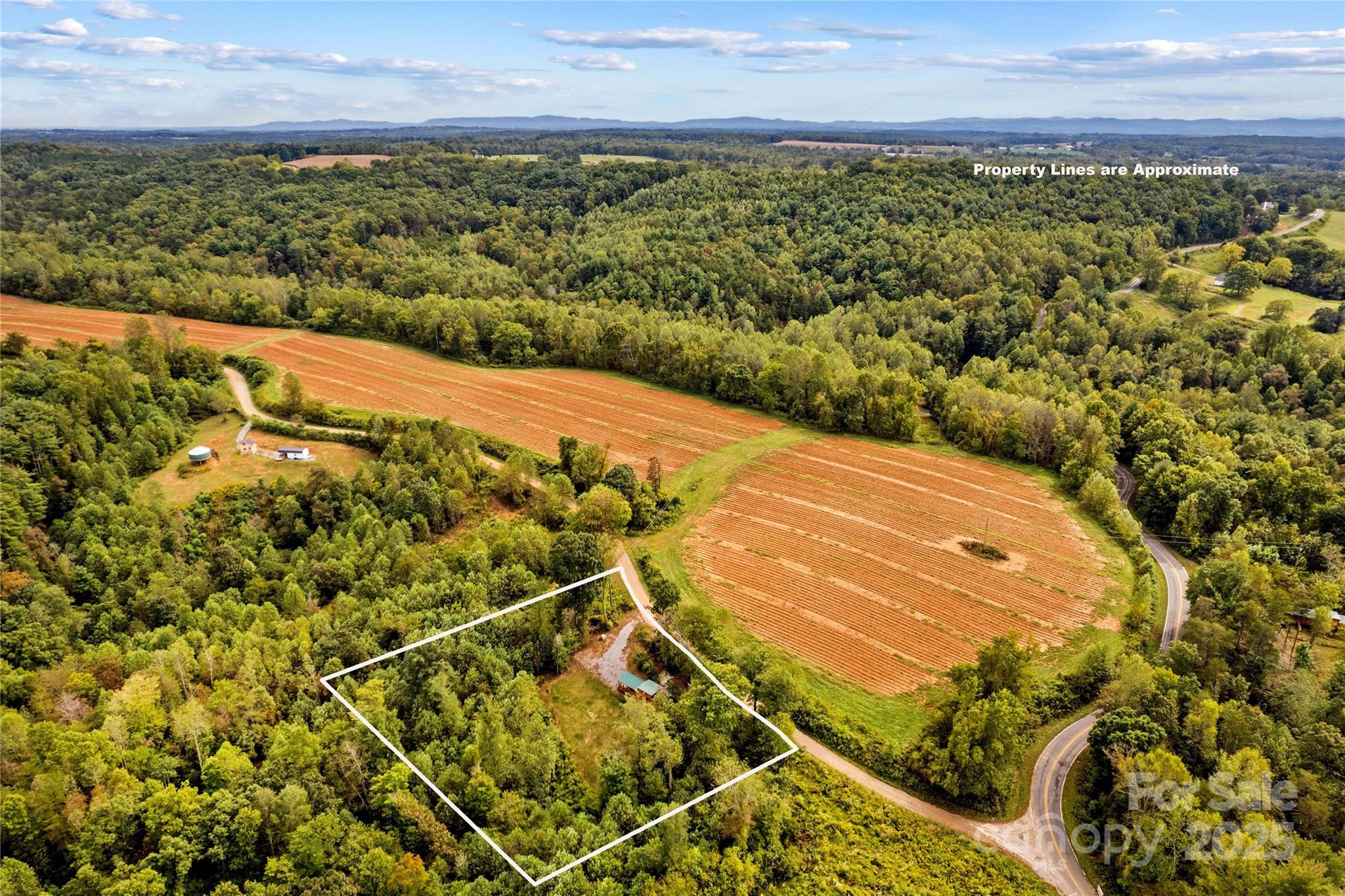 1136 Bauguess Mill Road Traphill, NC 28685 - Photo 34 of 37 a view of a yard with an ocean