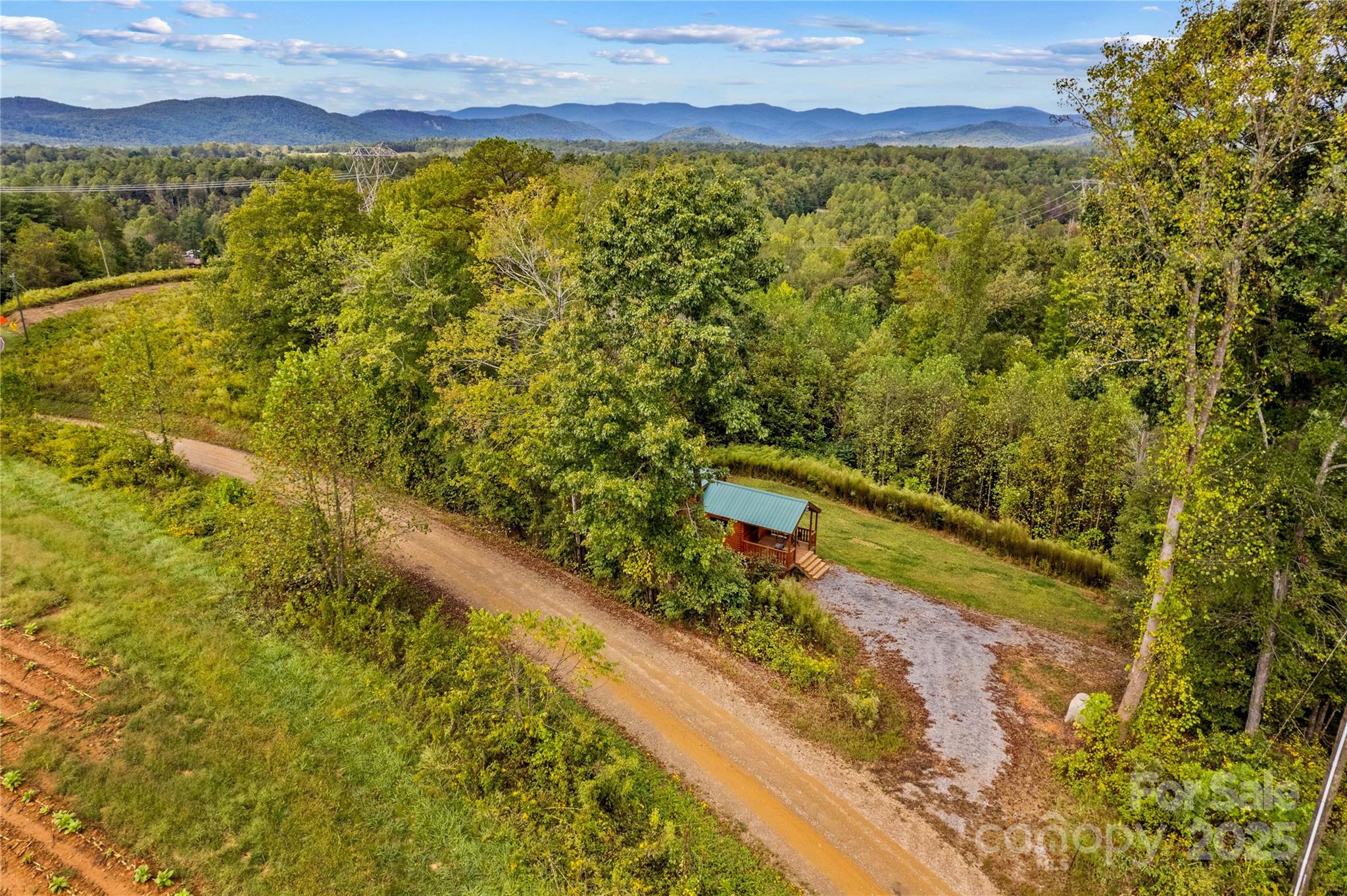 1136 Bauguess Mill Road Traphill, NC 28685 - Photo 36 of 37 a view of a yard