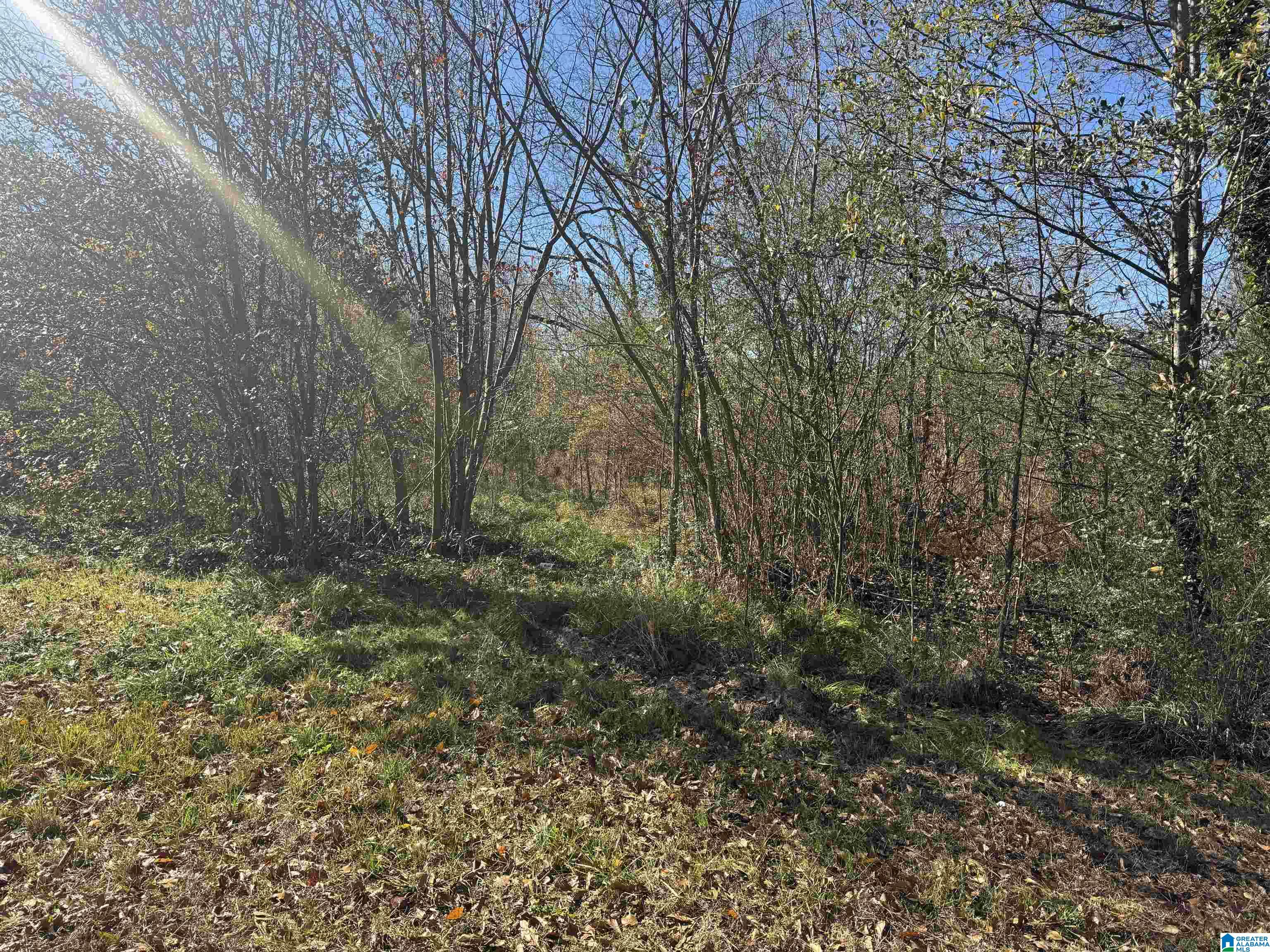 0 Glade Road, Unit 1 Anniston, AL 36206 - Photo 2 of 30