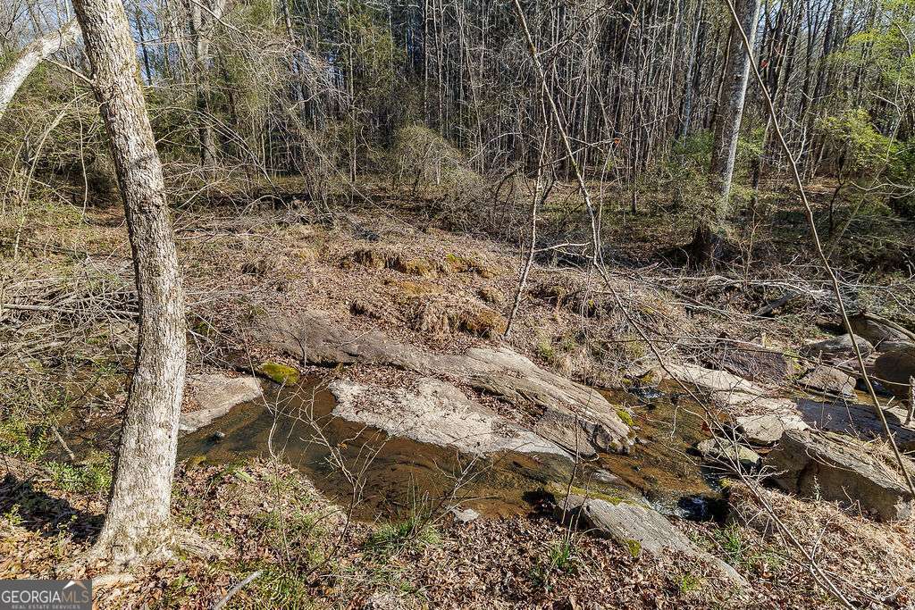 2644 Nunnally Shoals Road, Unit TRACT 2 Good Hope, GA 30641 - Photo 14 of 17 Gallery Image 14