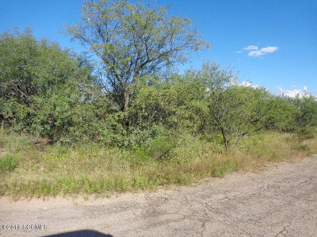 491 Sara Court Rio Rico, AZ 85648 - Photo 1 of 2