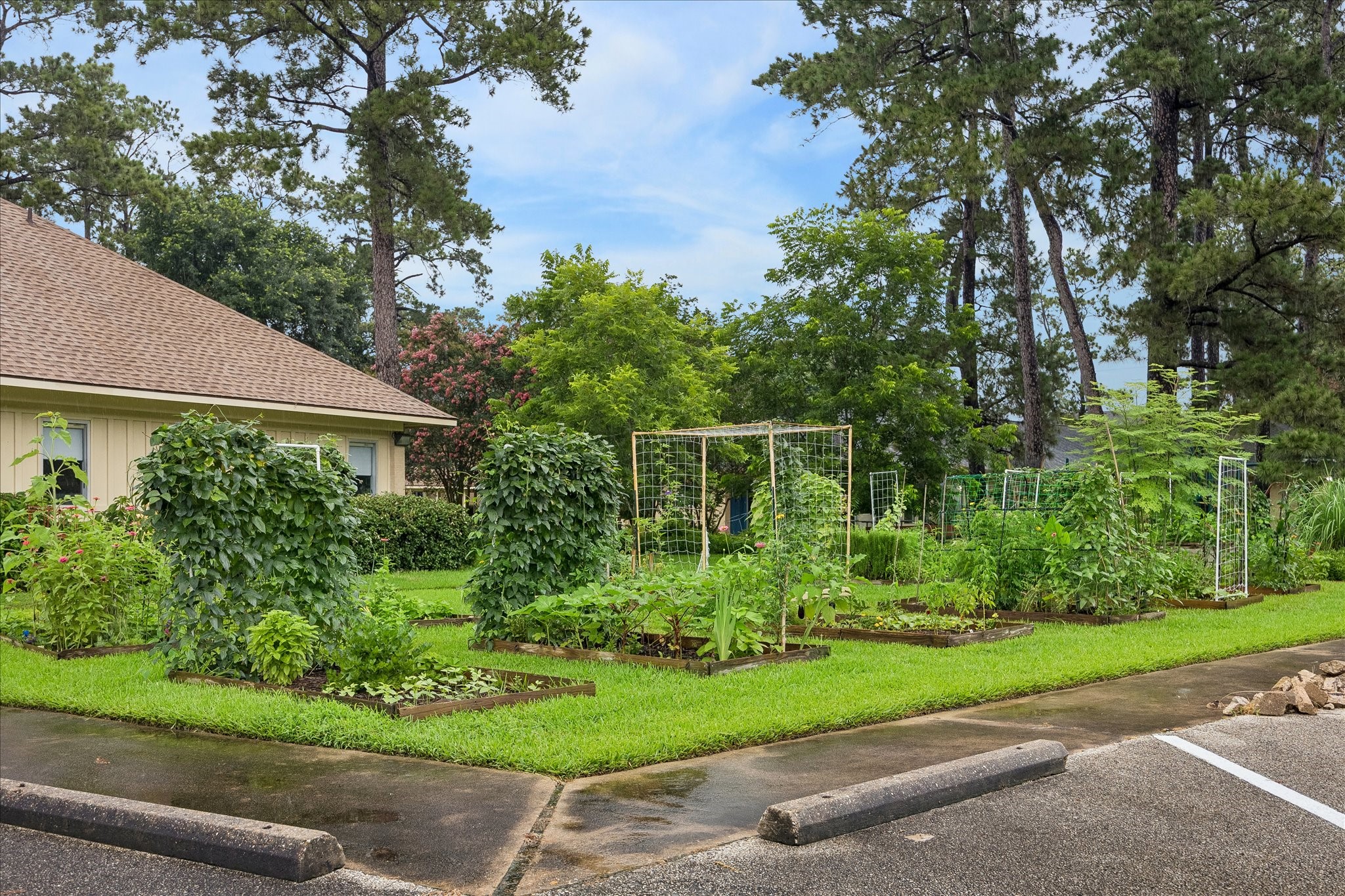 306 Gessner Road Bunker Hill Village, TX 77024 - Photo 39 of 41 Communal Garden behind the home.
