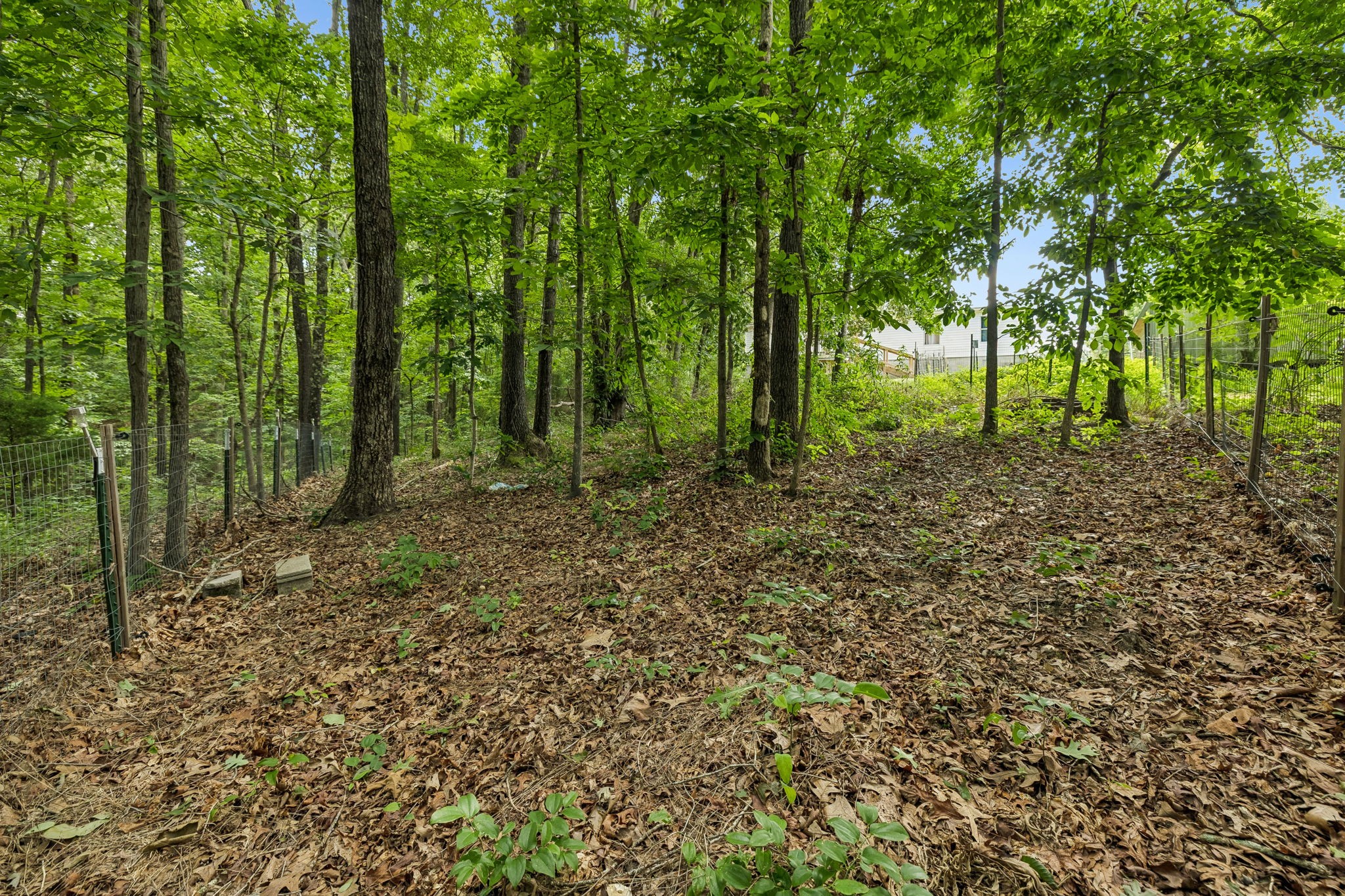 1324 Elliot Road Nunnelly, TN 37137 - Photo 38 of 44