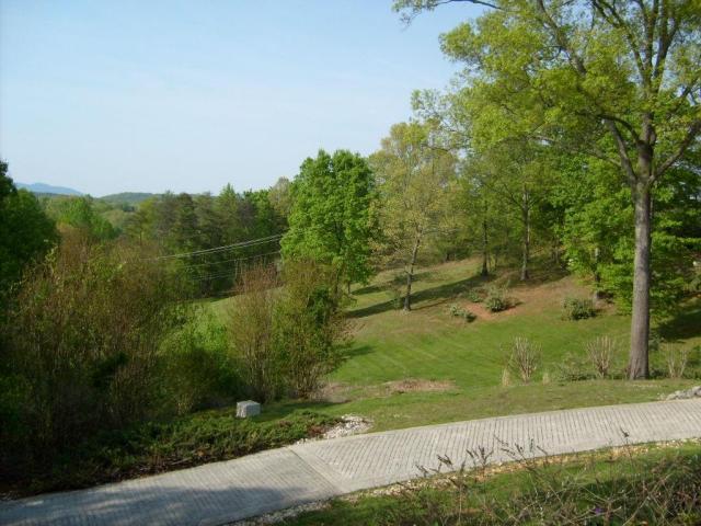 4140 Jae Valley Road Roanoke, VA 24014 - Photo 42 of 43 Side Yard
