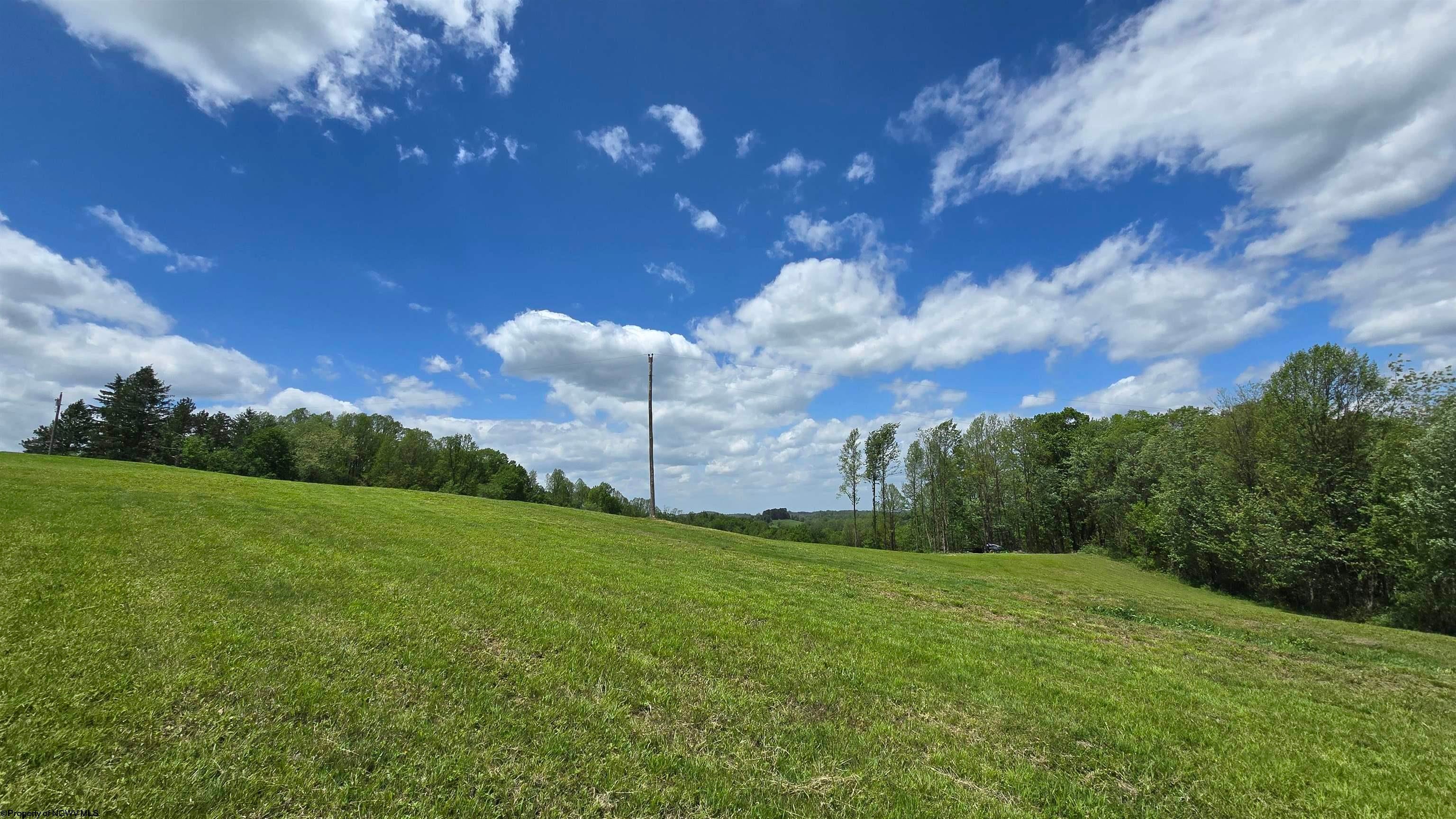667 Midway Road Belington, WV 26250 - Photo 9 of 23 Gallery Image 9