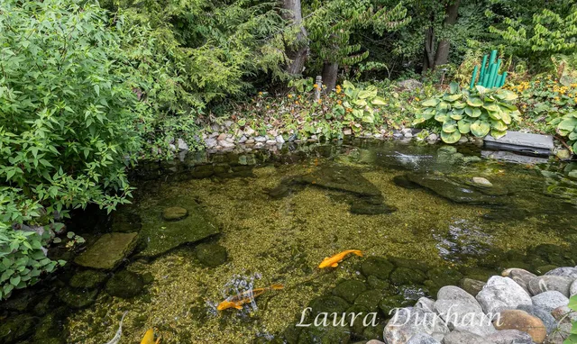 $1,285,000 | 790 Lake Street, Saugatuck, MI 49453