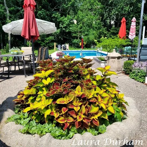 $1,285,000 | 790 Lake Street, Saugatuck, MI 49453