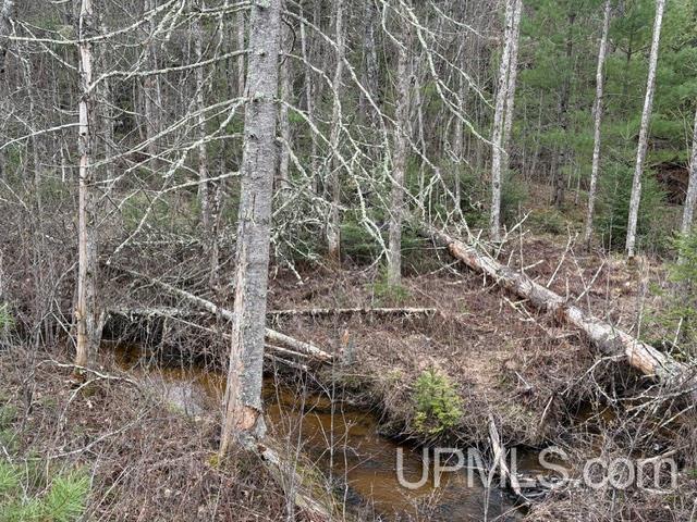 N16953 Spangenberg Road Pembine, WI 54156 - Photo 2 of 5