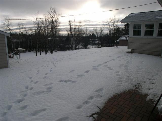 3718 Haines Road Duluth, MN 55811 - Photo 3 of 17 Gallery Image 3