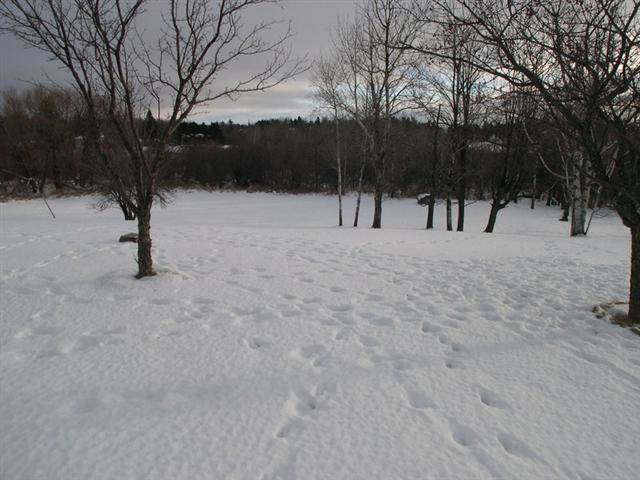3718 Haines Road Duluth, MN 55811 - Photo 4 of 17 Gallery Image 4