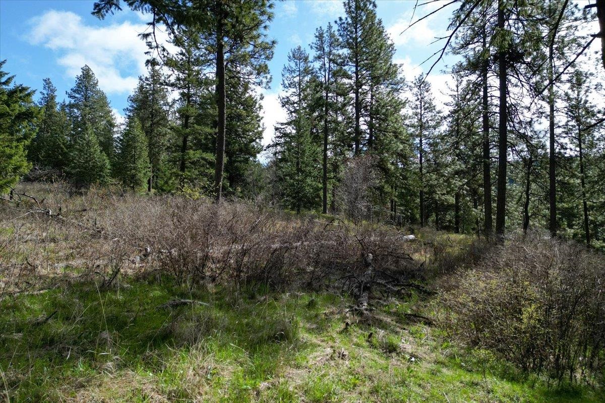 6712 East Jamieson Road Spokane, WA 99223 - Photo 21 of 28