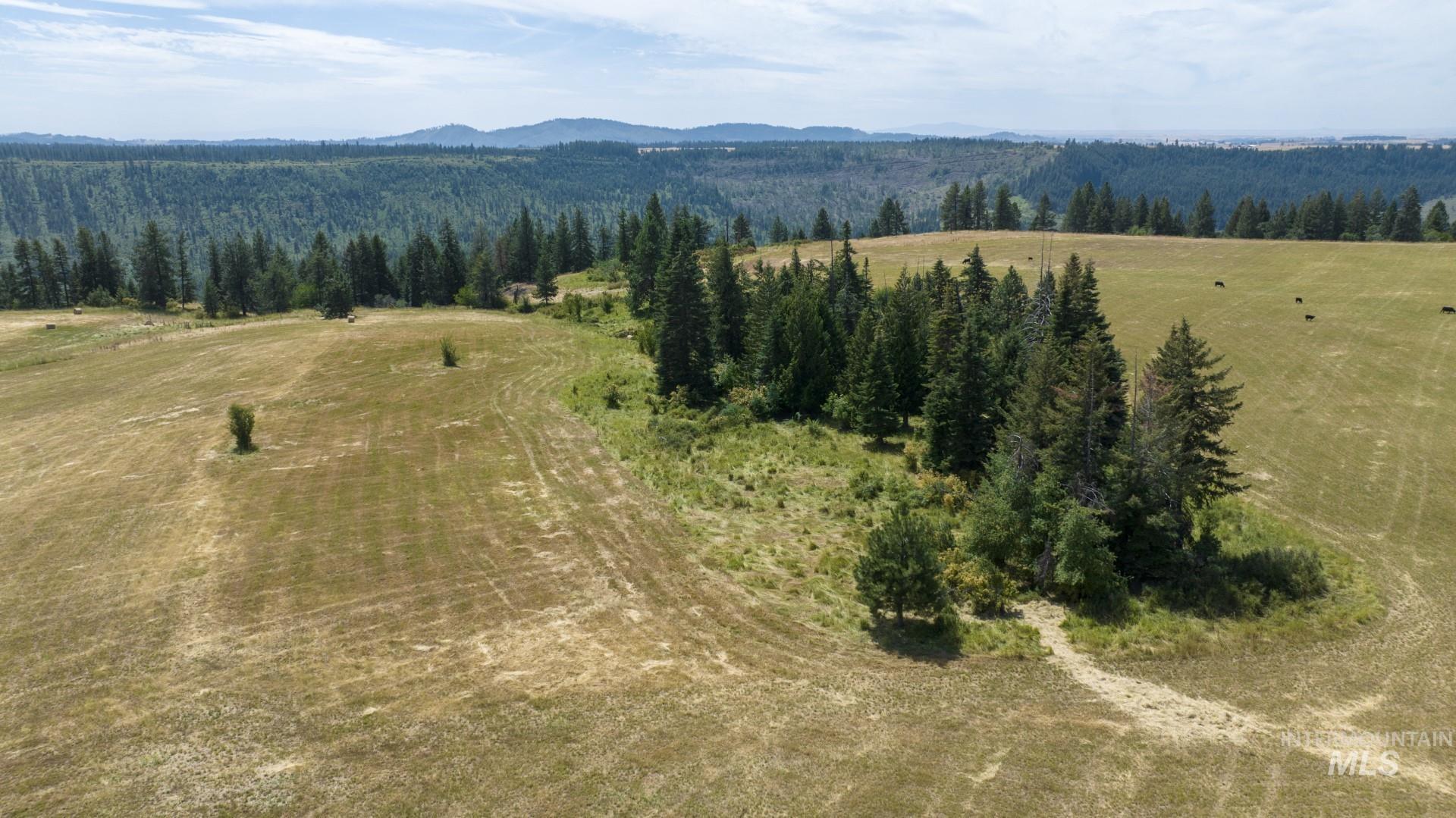 1605 Jasmine Lane Weippe, ID 83553 - Photo 10 of 11