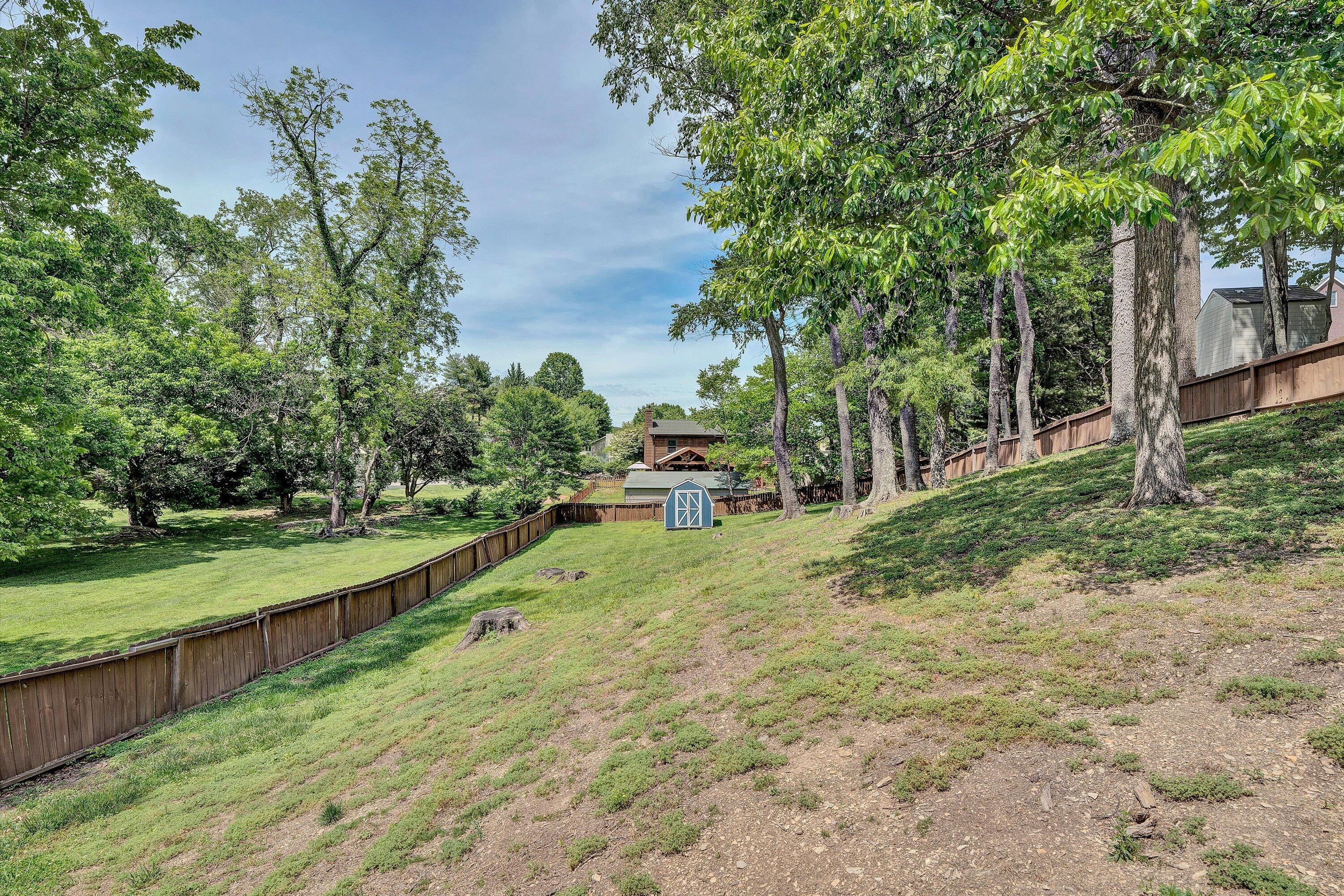 3808 Rte 3004 Roanoke, VA 24012 - Photo 38 of 44 Backyard