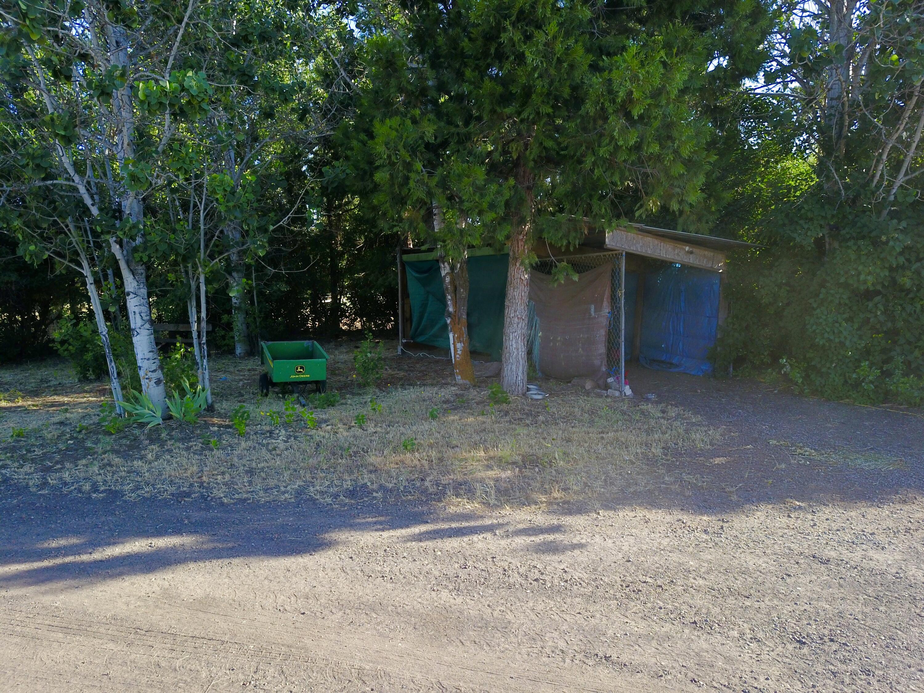 25965 Cir Bell Road Fall River Mills, CA 96028 - Photo 13 of 53 a view of a backyard with large trees and wooden fence