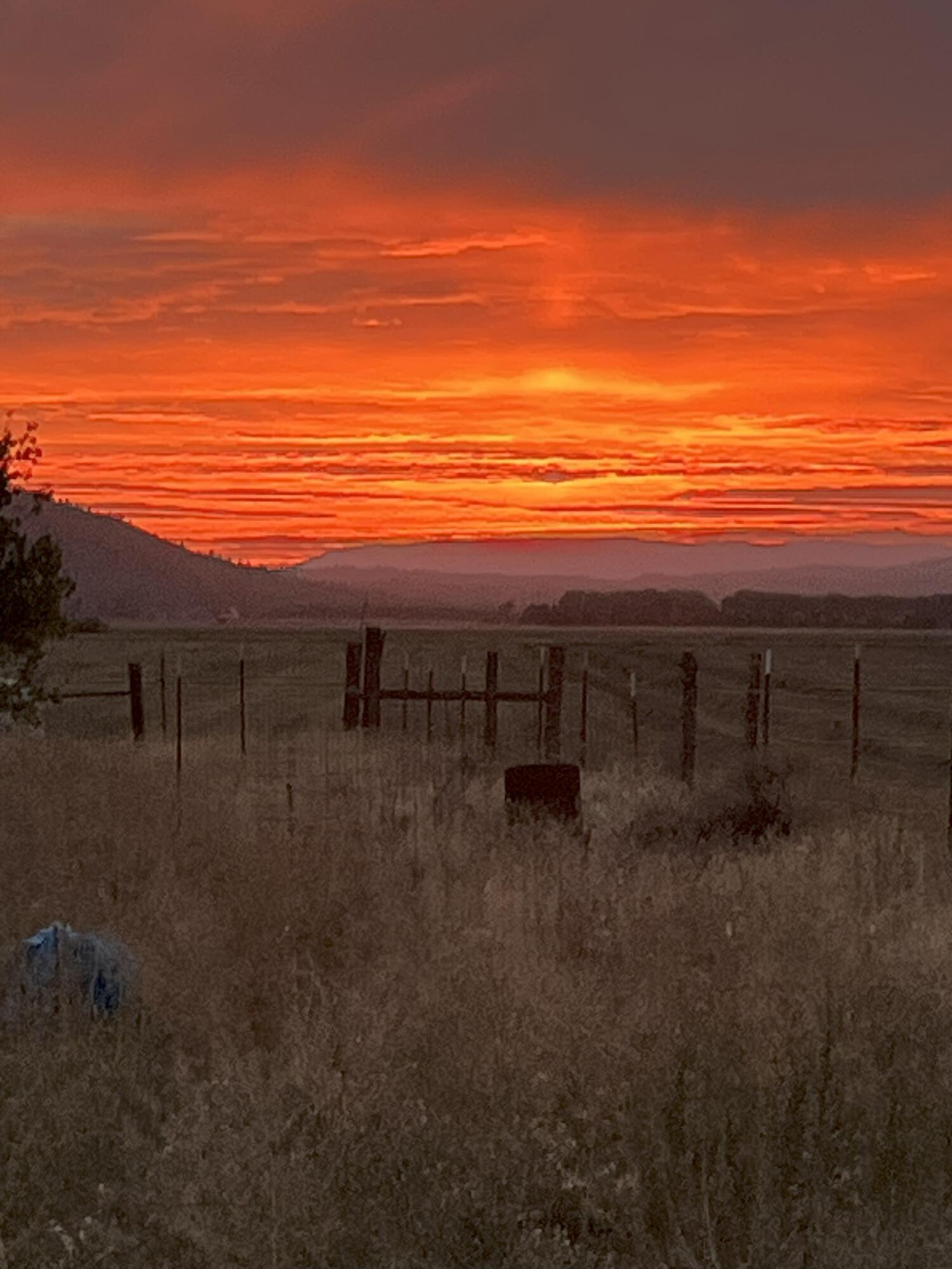25965 Cir Bell Road Fall River Mills, CA 96028 - Photo 49 of 53 a view of a terrace with sky view