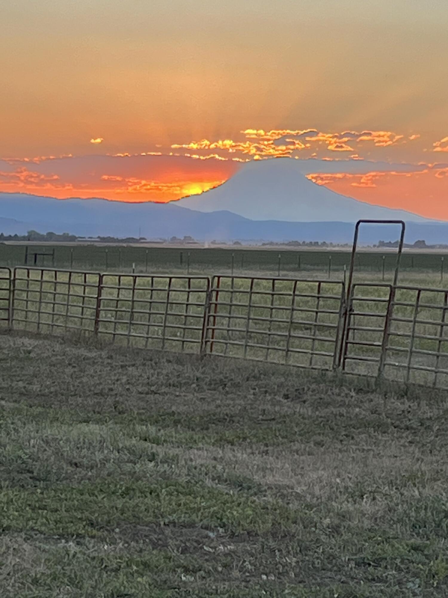 25965 Cir Bell Road Fall River Mills, CA 96028 - Photo 50 of 53 a view of outdoor space and city view