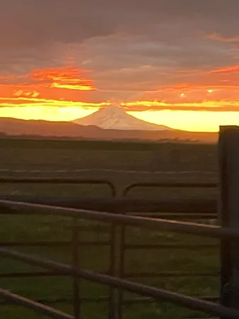 $458,000 | 25965 Cir Bell Road, Fall River Mills, CA 96028