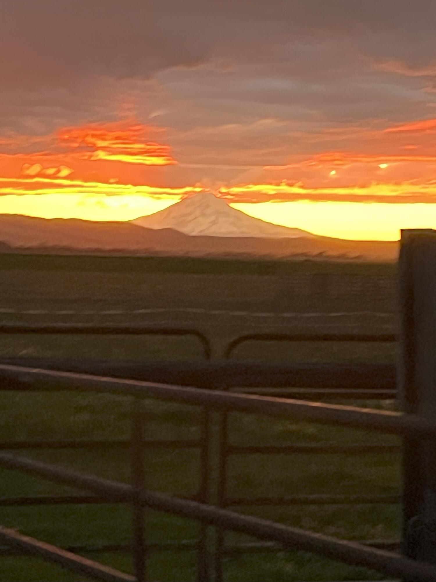 25965 Cir Bell Road Fall River Mills, CA 96028 - Photo 53 of 53 a view of ocean from a window