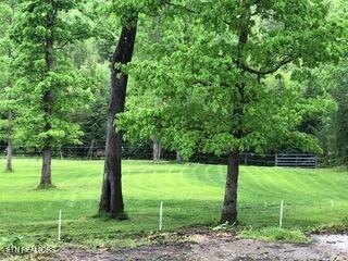 152 Ridge Point Road Jamestown, TN 38556 - Photo 15 of 24 152 Rear pasture