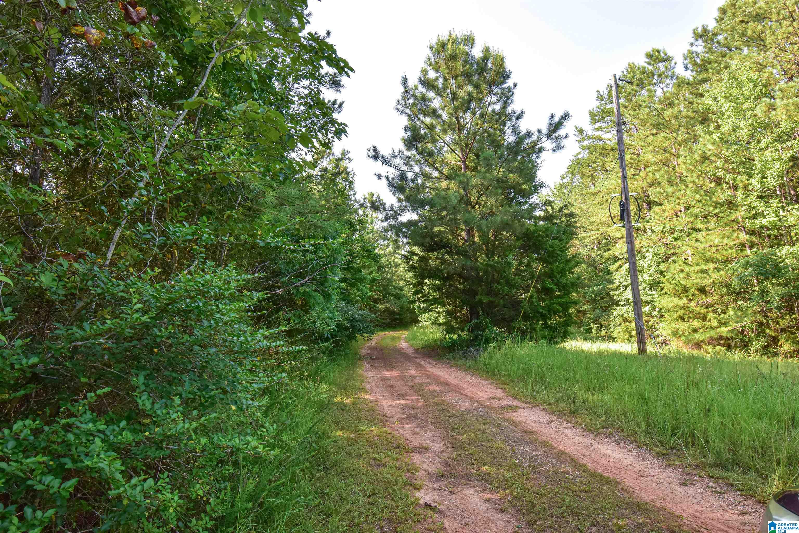 373 Myers Road Berry, AL 35546 - Photo 73 of 74