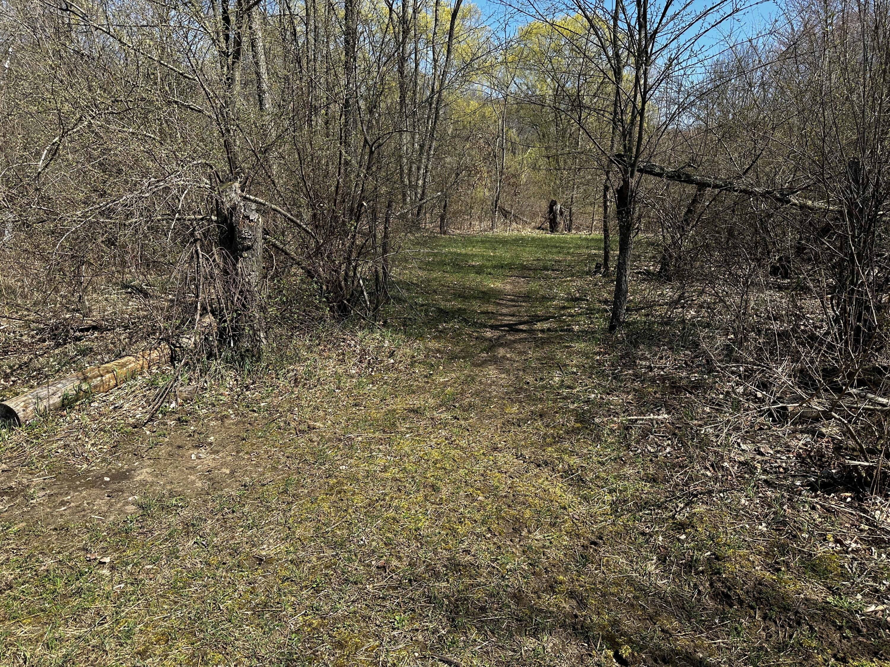 0 Robbins Road Springport, MI 49284 - Photo 5 of 25 IMG-8894