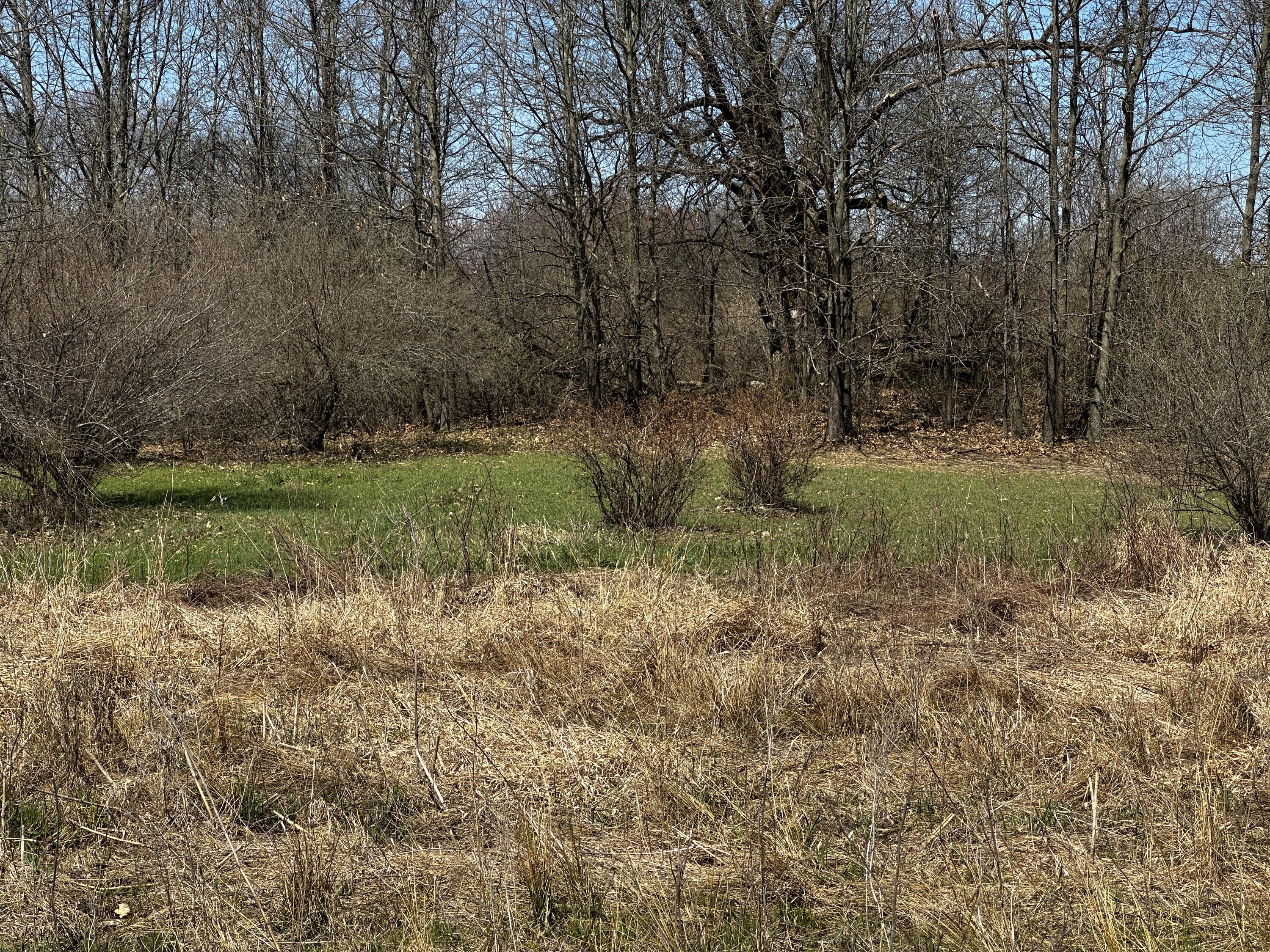 0 Robbins Road Springport, MI 49284 - Photo 8 of 25 IMG-8889