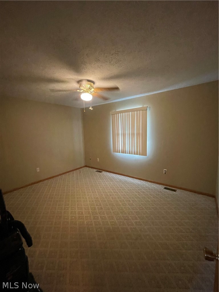 71750 Chini Orchard Road Flushing, OH 43977 - Photo 10 of 17