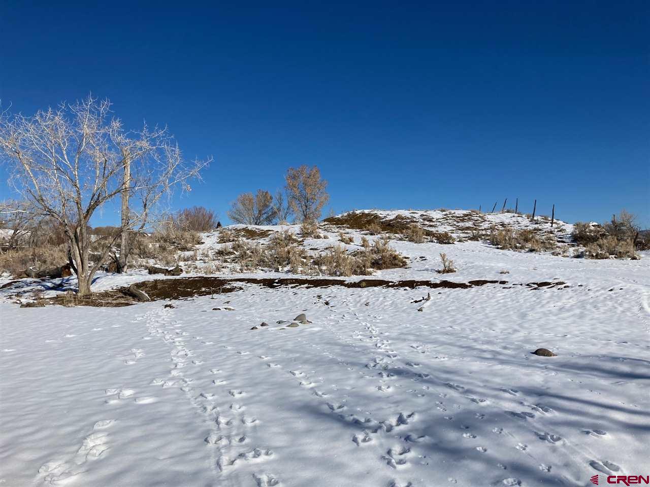 16550 6475 Road Montrose, CO 81403 - Photo 13 of 29 Gallery Image 13