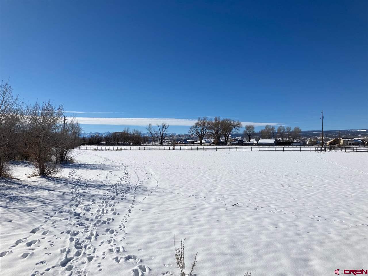 16550 6475 Road Montrose, CO 81403 - Photo 14 of 29 Gallery Image 14