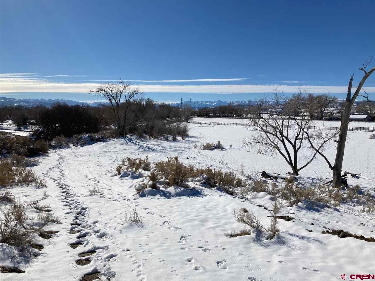 16550 6475 Road Montrose, CO 81403 - Photo 21 of 29 Gallery Image 21