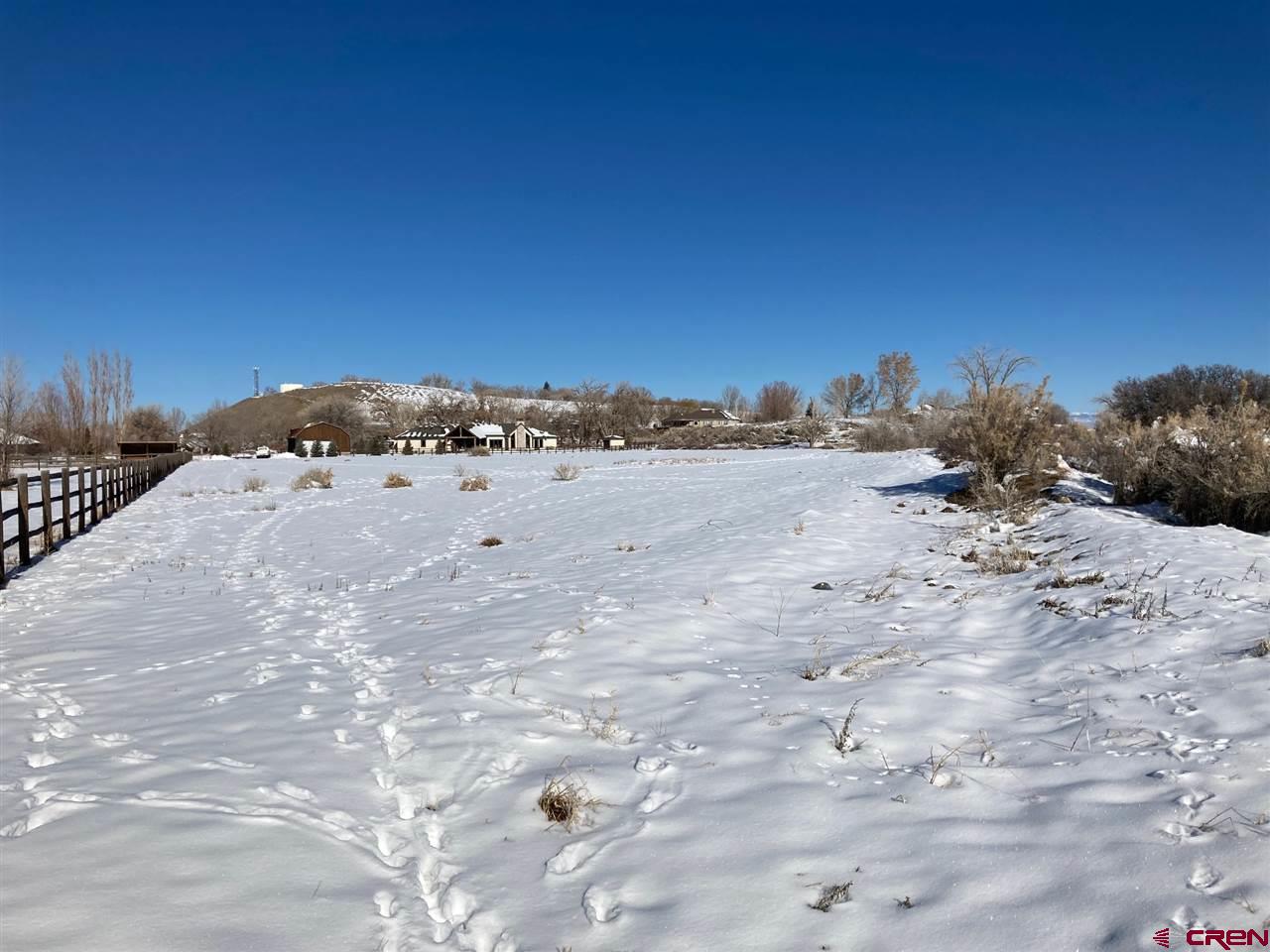 16550 6475 Road Montrose, CO 81403 - Photo 10 of 29 Gallery Image 10