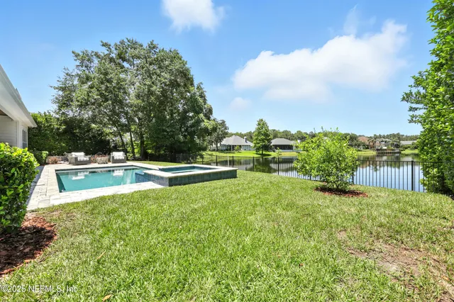 a view of a large garden with plants and large trees