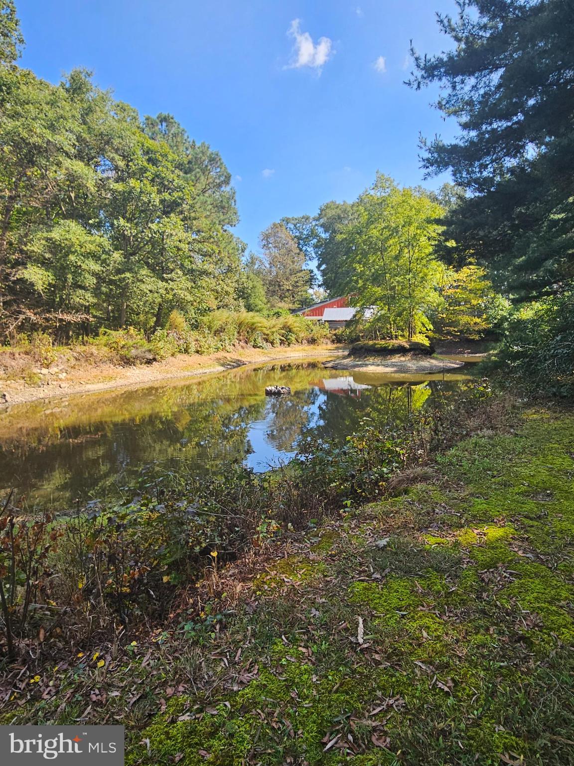23577 Willow Pond Road Denton, MD 21629 - Photo 43 of 60 Pond with Island
