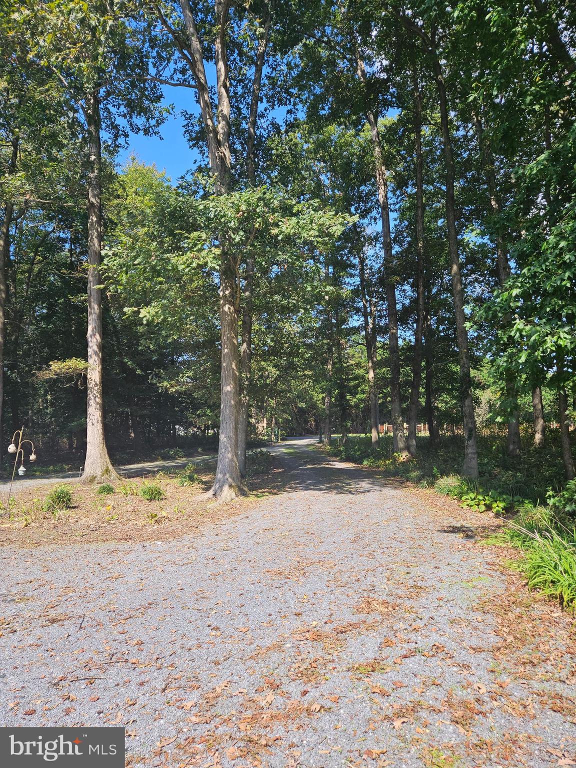 23577 Willow Pond Road Denton, MD 21629 - Photo 47 of 60 Gallery Image 47