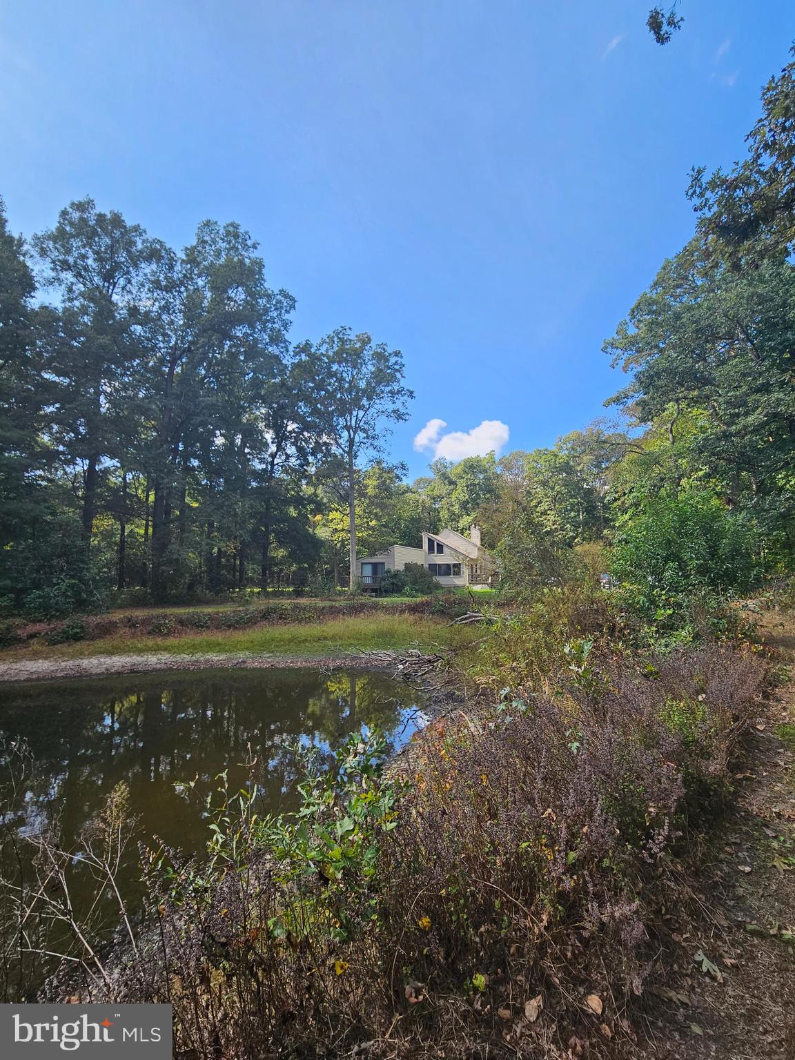 23577 Willow Pond Road Denton, MD 21629 - Photo 48 of 60 Gallery Image 48