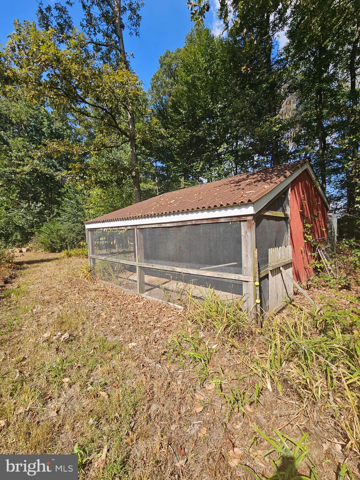 23577 Willow Pond Road Denton, MD 21629 - Photo 50 of 60 dog kennels