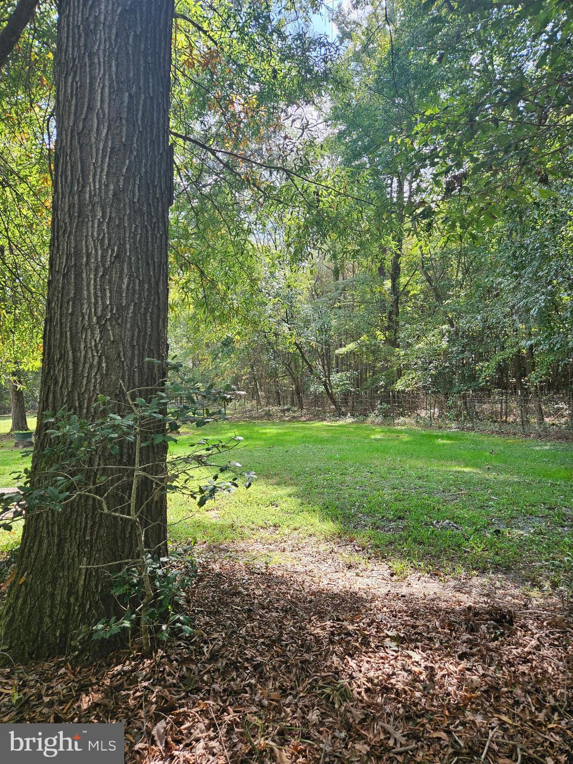 23577 Willow Pond Road Denton, MD 21629 - Photo 53 of 60 Gallery Image 53