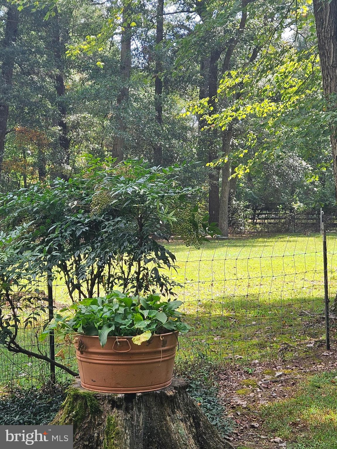 23577 Willow Pond Road Denton, MD 21629 - Photo 60 of 60 Gallery Image 60
