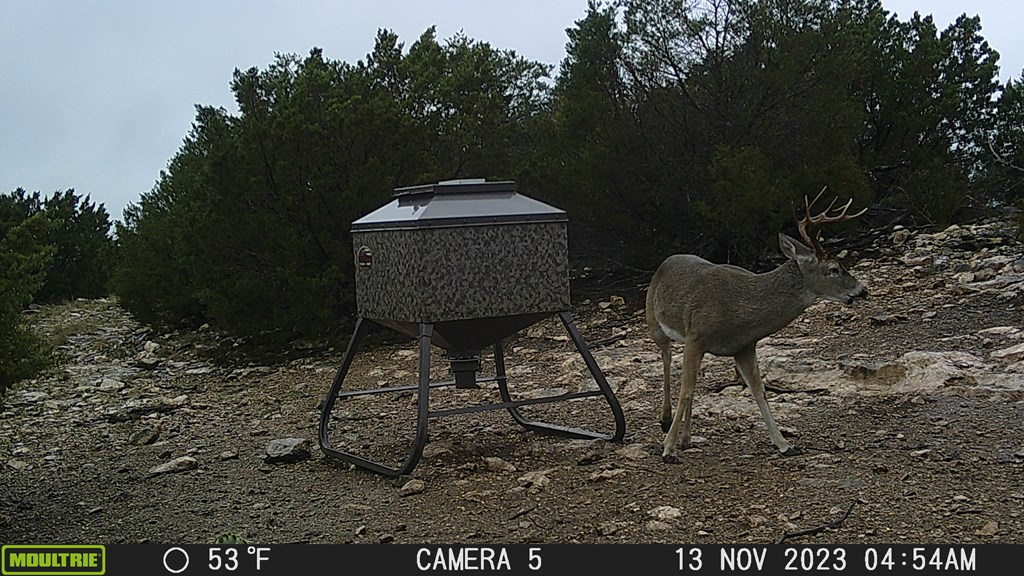 Undisclosed Address Rocksprings, TX 78880 - Photo 27 of 34