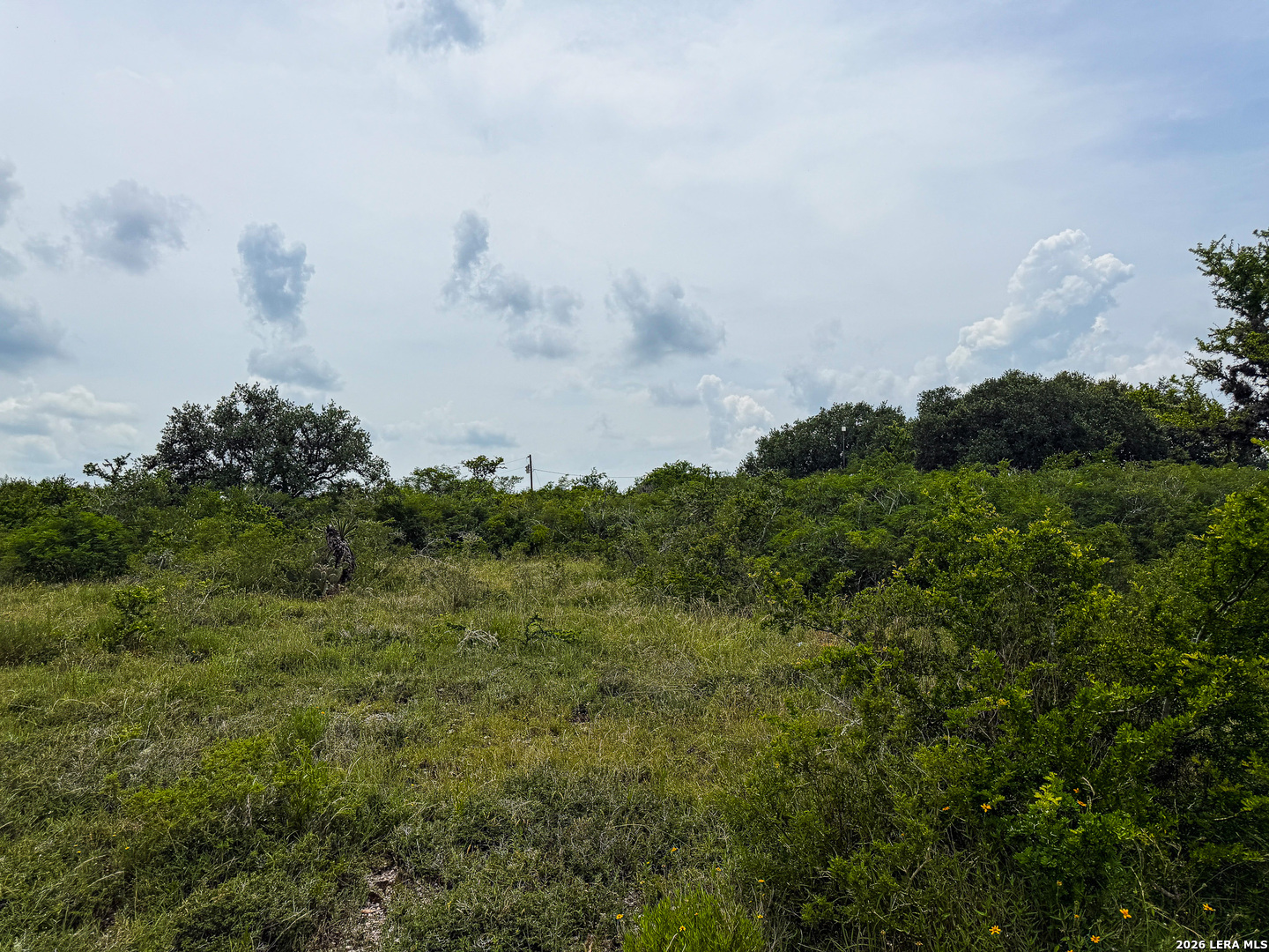 0 Lt 23 Yucca Trail Three Rivers, TX 78071 - Photo 8 of 13