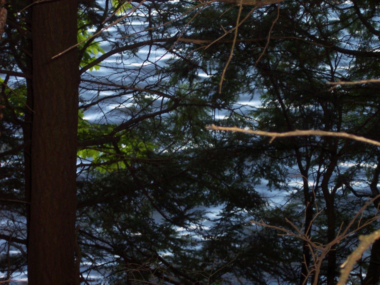On Big Sand Lake Club Road, Unit LOT 23 Phelps, WI 54554 - Photo 3 of 10 Gallery Image 3