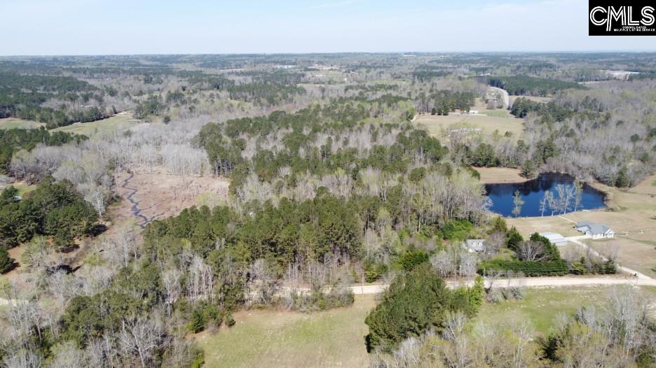 1672 Dixired Road Leesville, SC 29070 - Photo 9 of 67