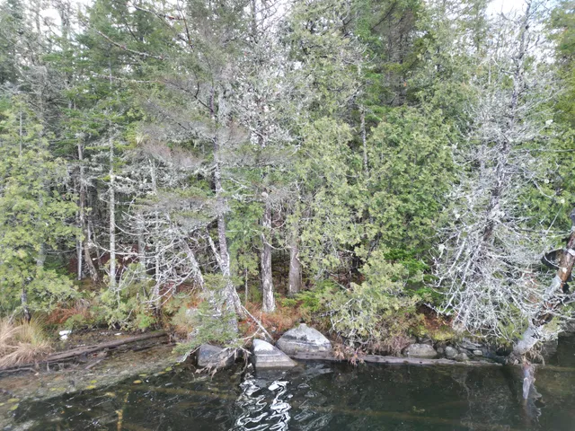 $89,000 | Lot 6 Beaver Cove, Lincoln, ME 04457