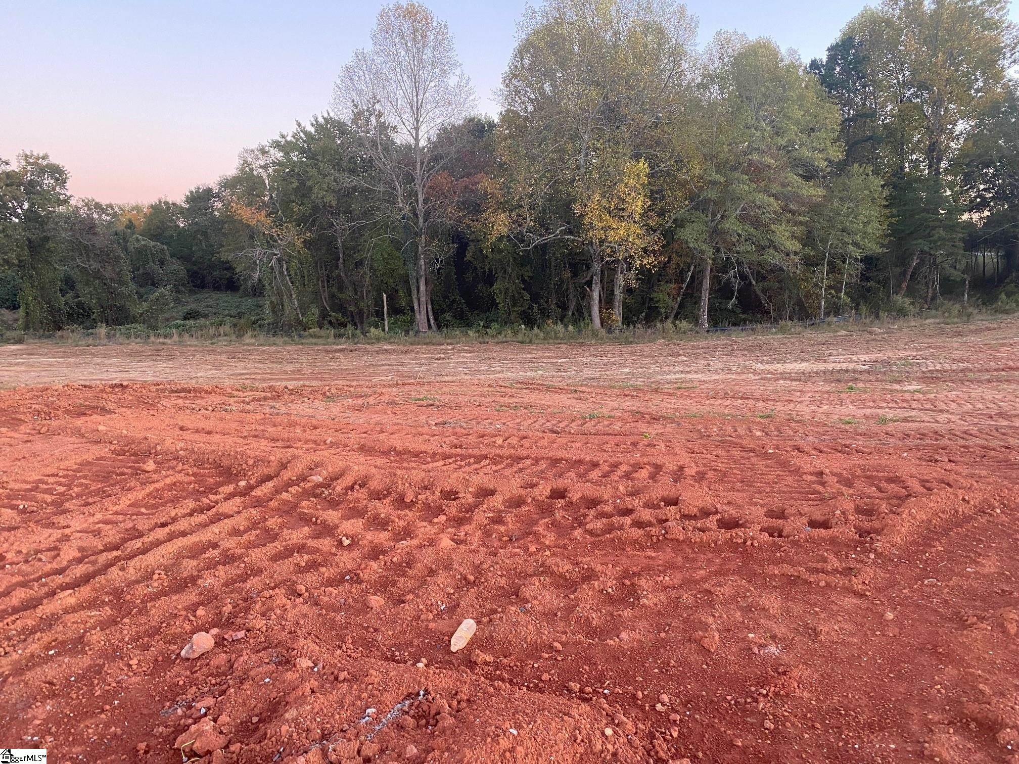 534 New Cut Meadows Road, Unit HOMESITE 57 Inman, SC 29349 - Photo 4 of 16