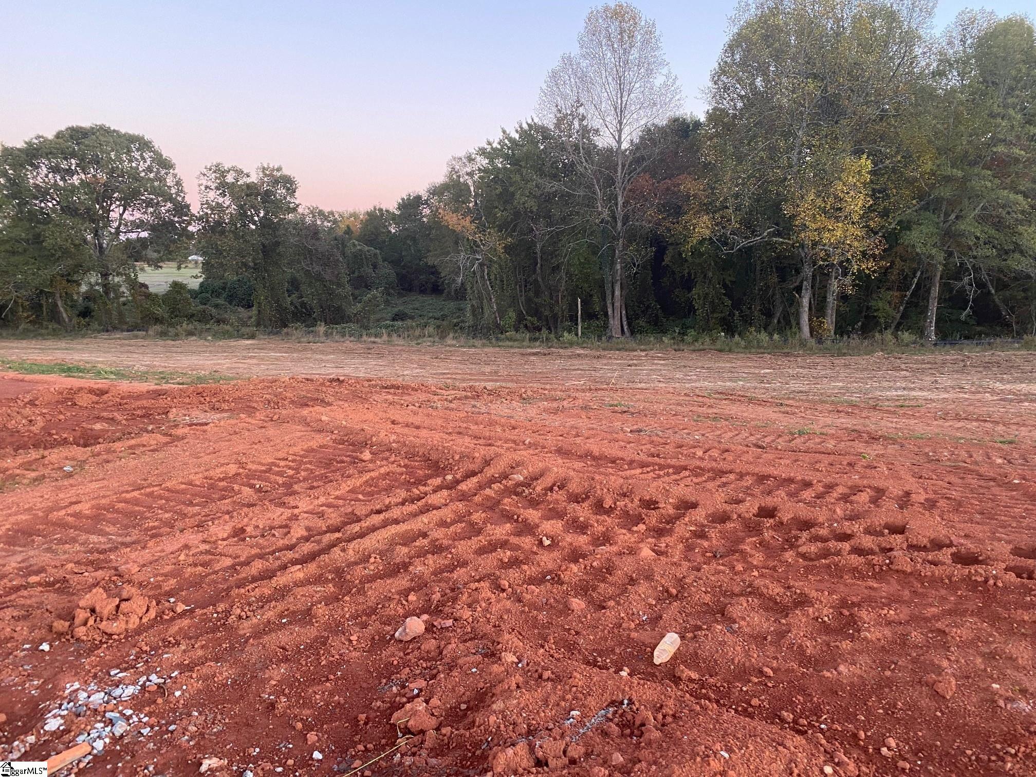 534 New Cut Meadows Road, Unit HOMESITE 57 Inman, SC 29349 - Photo 5 of 16