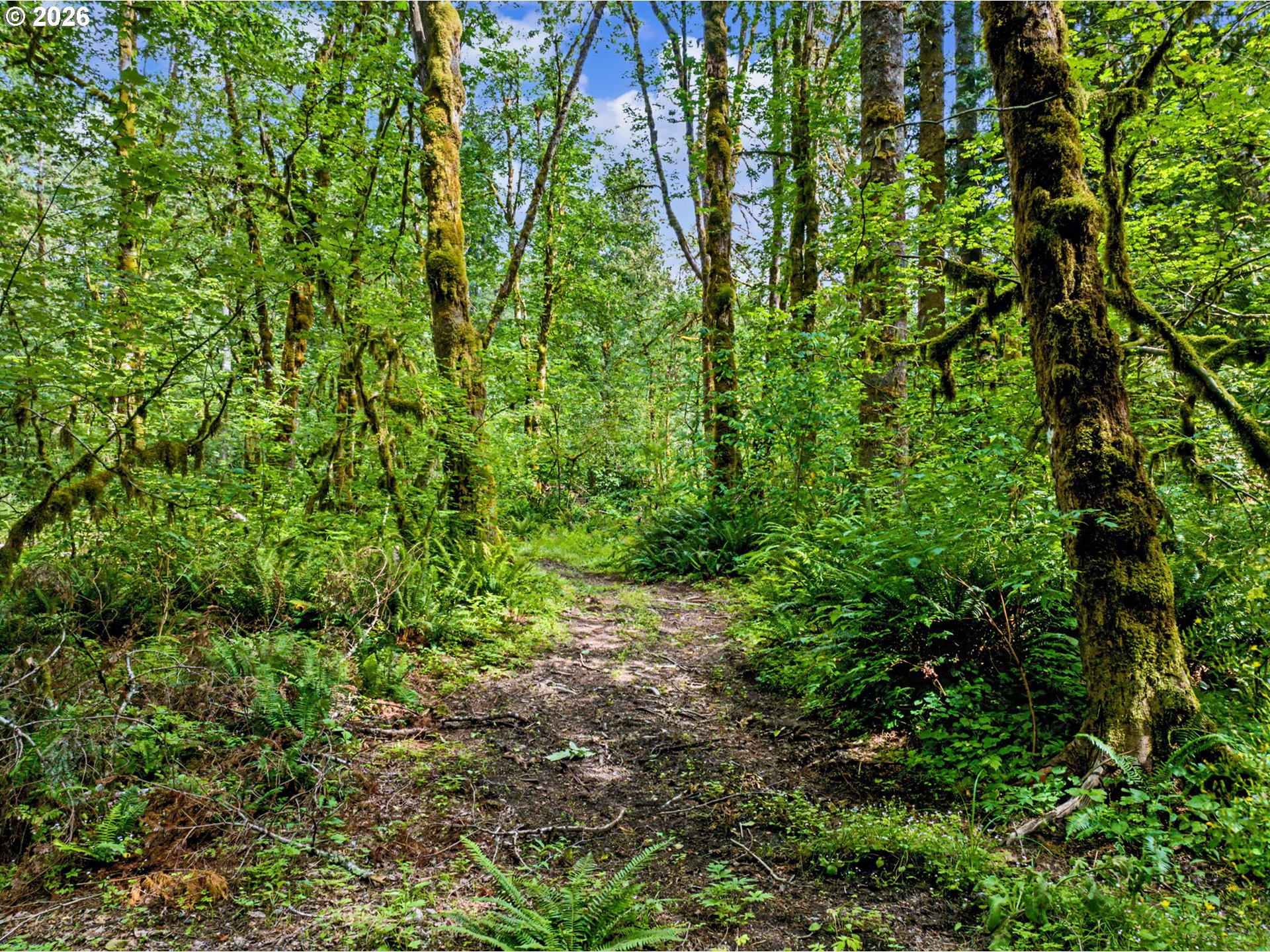 64601 East Brightwood Loop Road Brightwood, OR 97011 - Photo 38 of 48