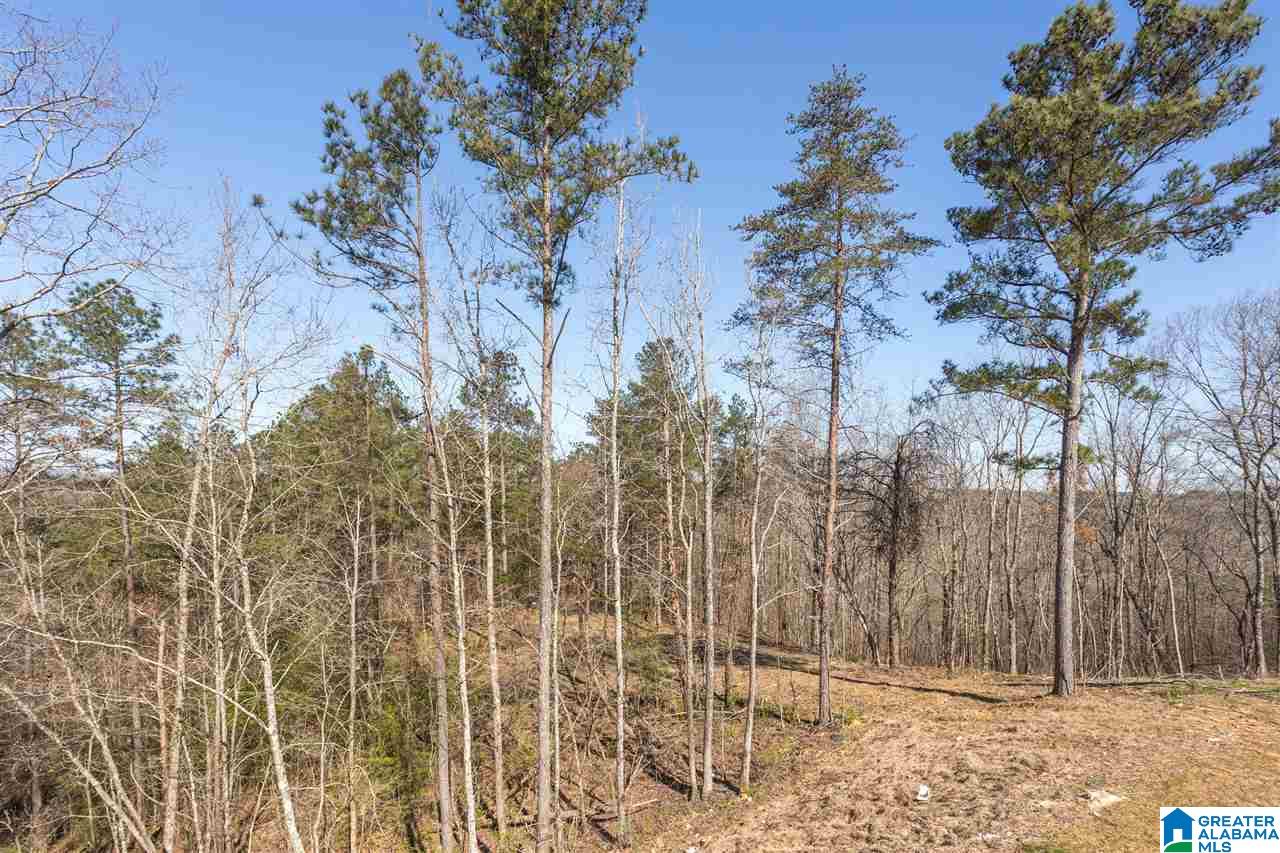 379 Lake Road Odenville, AL 35120 - Photo 8 of 43