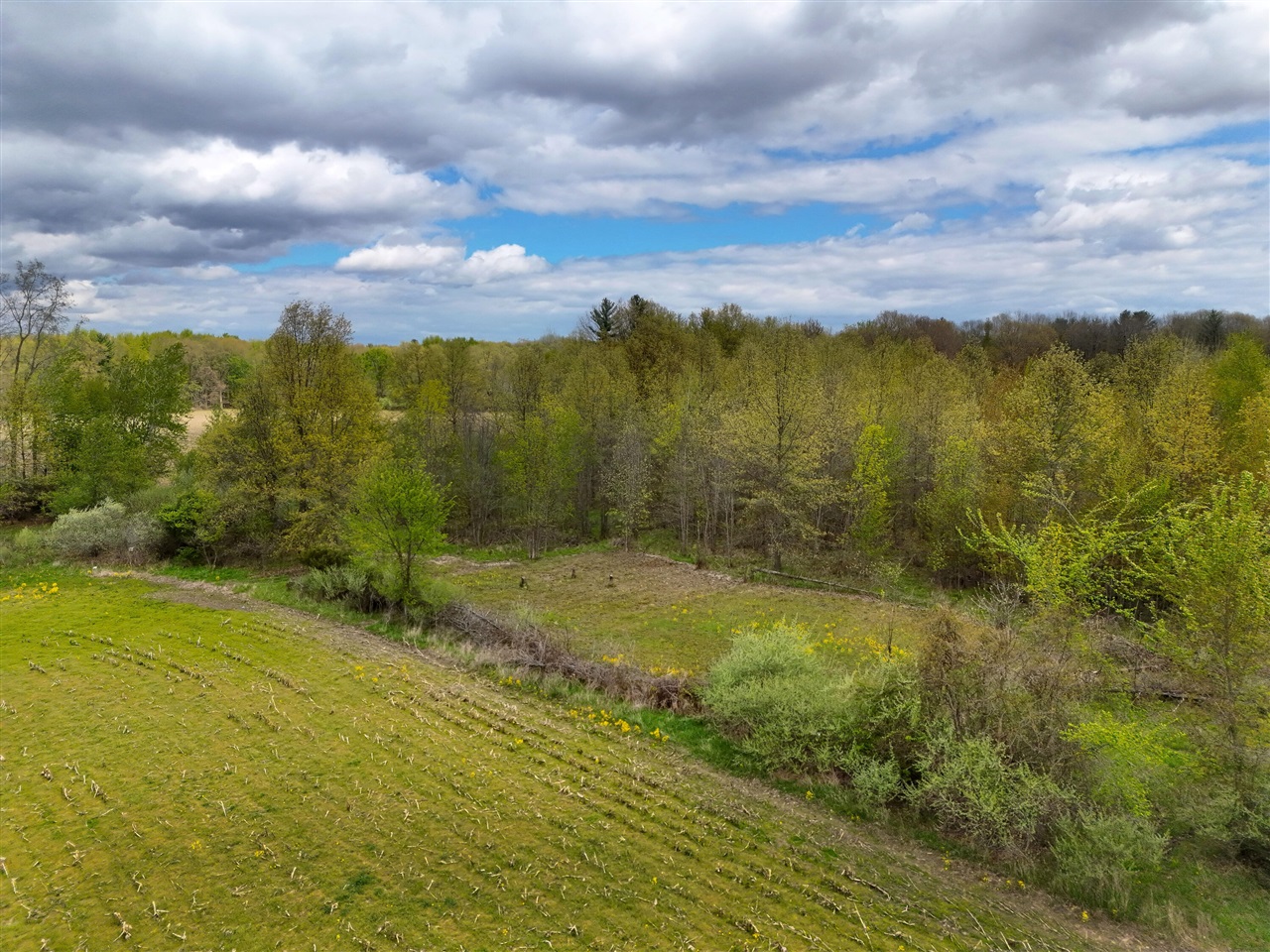 V/l Lot 1 South V/l Road Merrill, MI 48637 - Photo 15 of 18