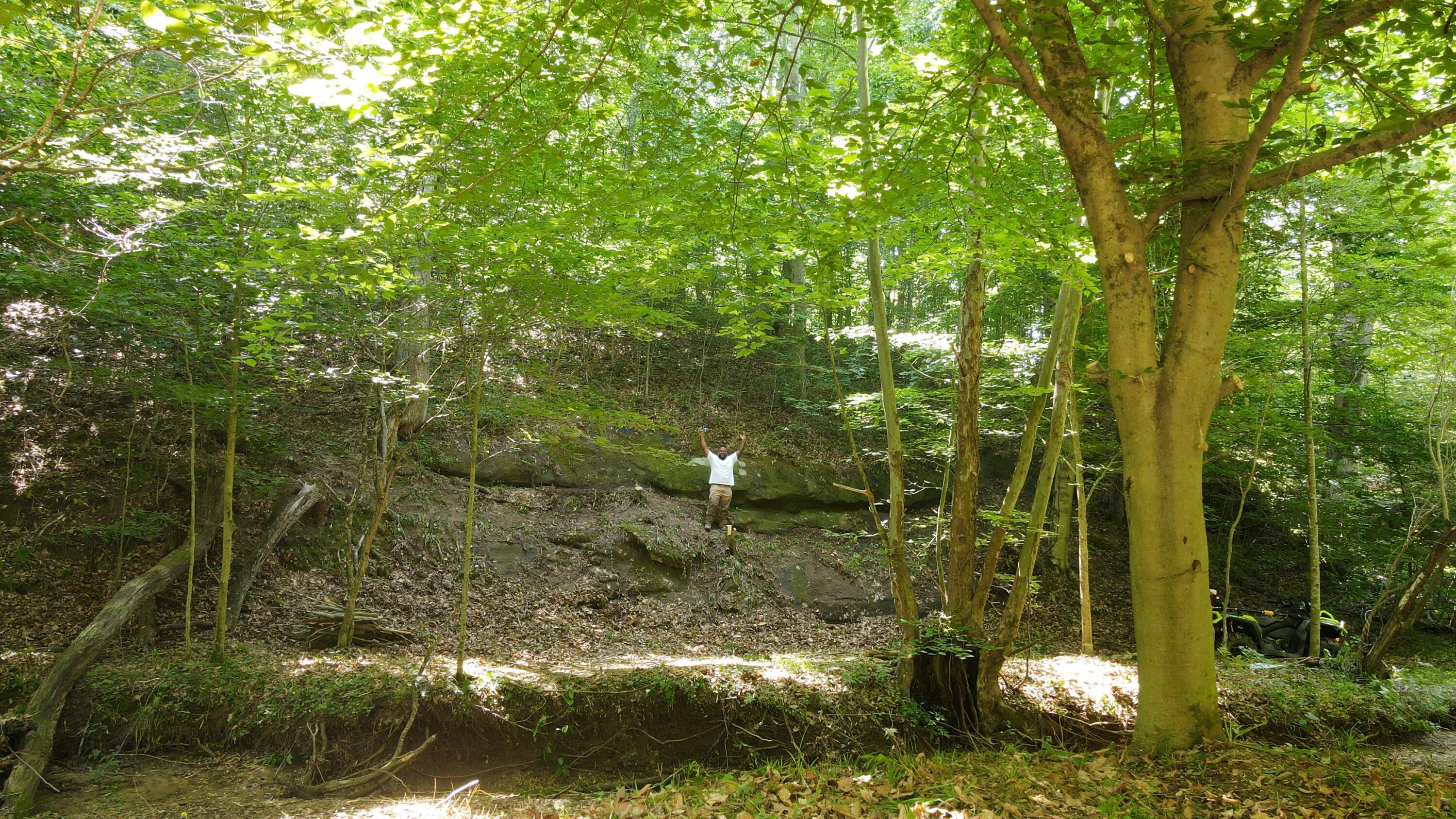 1101 Hull Road, Unit TRACT 9 WOODS WAYNE FOREST) Patriot, OH 45658 - Photo 48 of 61 20240621_151456000_iOS